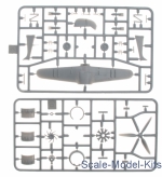 Henschel Hs 123C dive-bomber