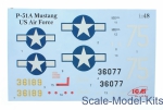 Mustang P-51A WWII USAF fighter