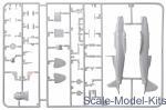 Italian Aces: MC.202 & MC.205